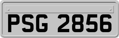 PSG2856