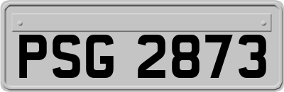 PSG2873