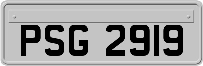 PSG2919