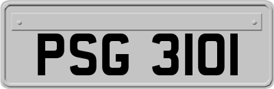 PSG3101