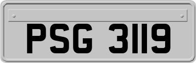 PSG3119