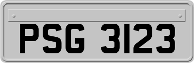 PSG3123