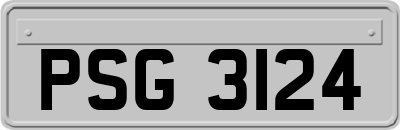 PSG3124