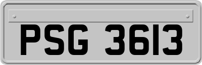 PSG3613
