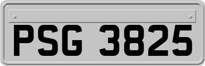 PSG3825
