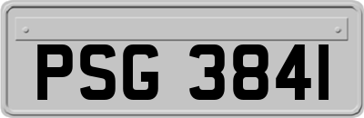 PSG3841