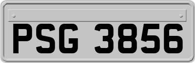 PSG3856