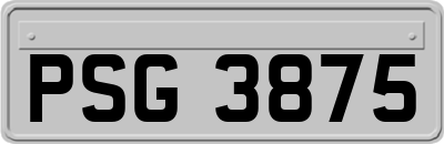 PSG3875