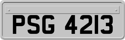 PSG4213