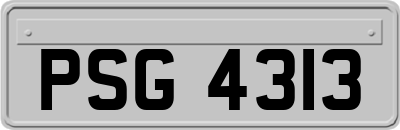PSG4313