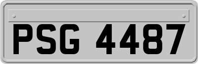 PSG4487