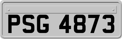 PSG4873