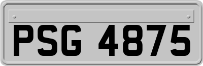 PSG4875