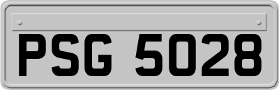 PSG5028