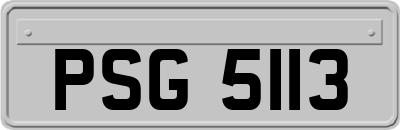 PSG5113