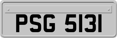 PSG5131