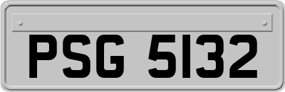 PSG5132