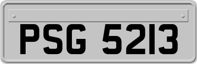 PSG5213