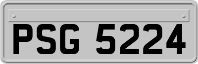 PSG5224