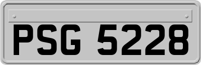 PSG5228