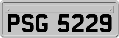 PSG5229