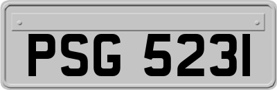 PSG5231