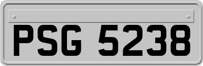 PSG5238