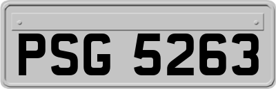 PSG5263