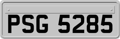 PSG5285
