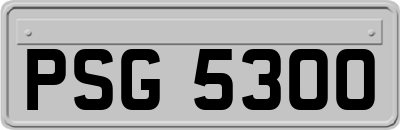 PSG5300
