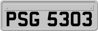 PSG5303