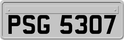 PSG5307