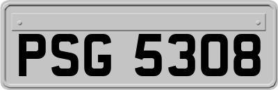 PSG5308