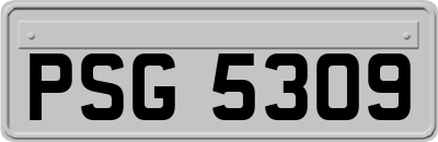 PSG5309