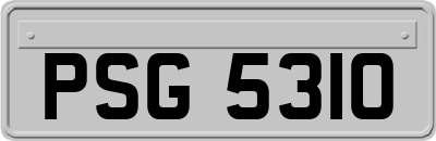 PSG5310