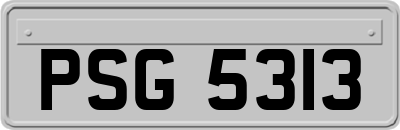 PSG5313