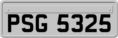 PSG5325