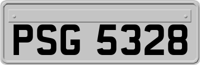 PSG5328