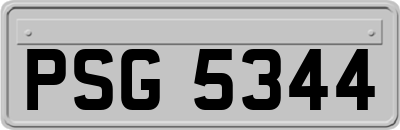 PSG5344