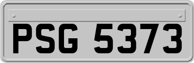 PSG5373