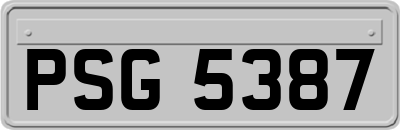 PSG5387