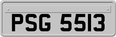 PSG5513