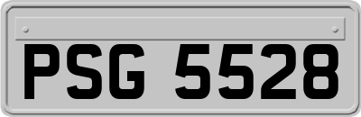 PSG5528
