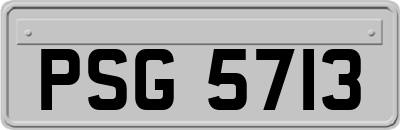 PSG5713