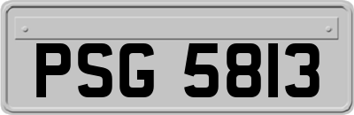 PSG5813