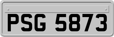 PSG5873