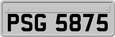 PSG5875