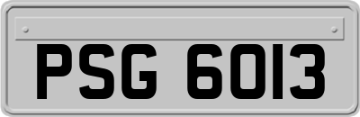 PSG6013
