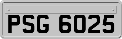 PSG6025