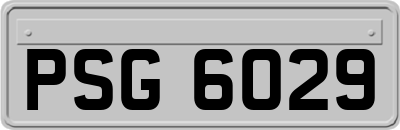 PSG6029